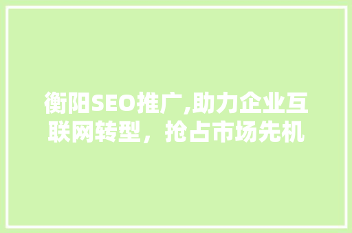 衡阳SEO推广,助力企业互联网转型，抢占市场先机