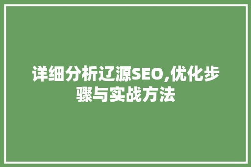 详细分析辽源SEO,优化步骤与实战方法