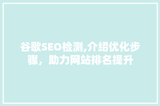 谷歌SEO检测,介绍优化步骤，助力网站排名提升