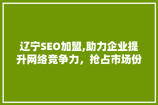 辽宁SEO加盟,助力企业提升网络竞争力，抢占市场份额 头条优化