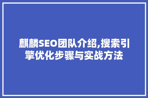 麒麟SEO团队介绍,搜索引擎优化步骤与实战方法
