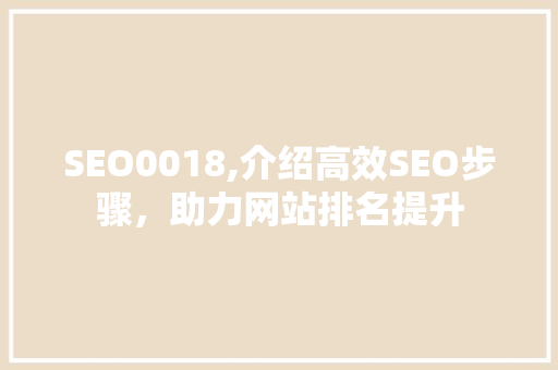 SEO0018,介绍高效SEO步骤，助力网站排名提升