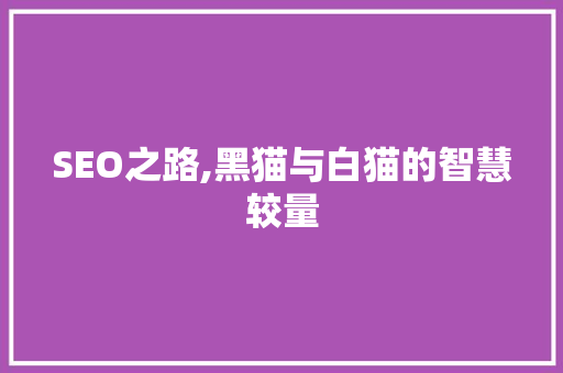 SEO之路,黑猫与白猫的智慧较量 网站优化