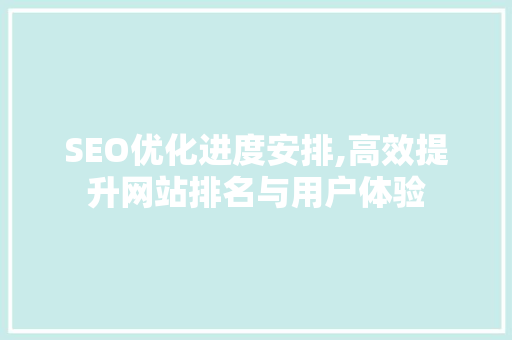 SEO优化进度安排,高效提升网站排名与用户体验