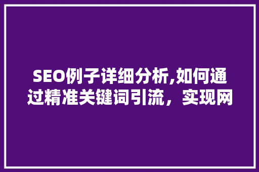 SEO例子详细分析,如何通过精准关键词引流，实现网站流量倍增 百度算法