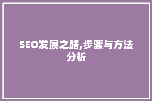 SEO发展之路,步骤与方法分析