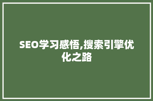 SEO学习感悟,搜索引擎优化之路