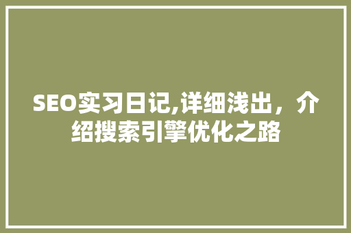 SEO实习日记,详细浅出，介绍搜索引擎优化之路