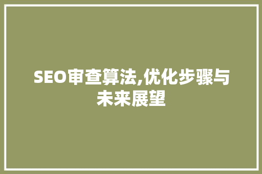 SEO审查算法,优化步骤与未来展望
