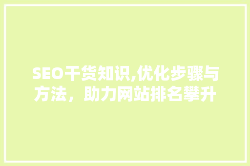 SEO干货知识,优化步骤与方法，助力网站排名攀升