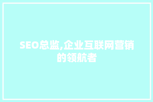 SEO总监,企业互联网营销的领航者