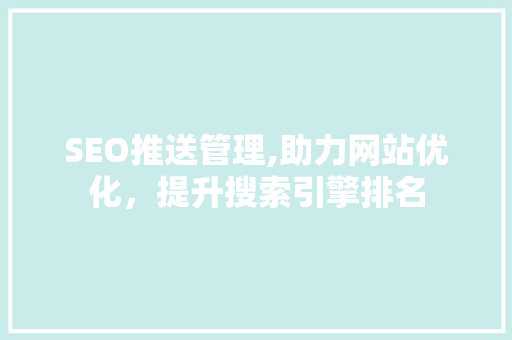 SEO推送管理,助力网站优化，提升搜索引擎排名
