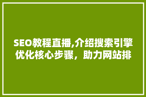 SEO教程直播,介绍搜索引擎优化核心步骤，助力网站排名提升
