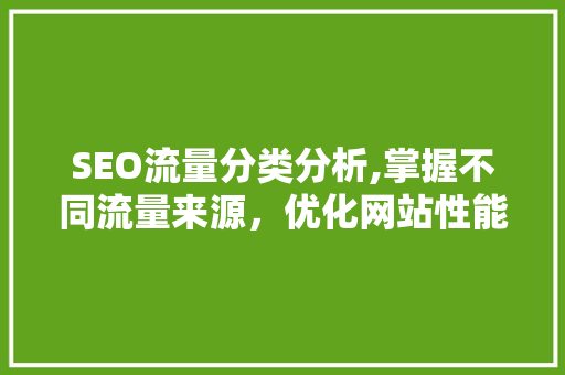 SEO流量分类分析,掌握不同流量来源，优化网站性能
