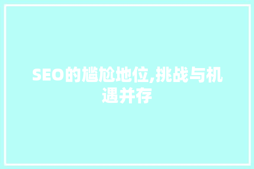 SEO的尴尬地位,挑战与机遇并存