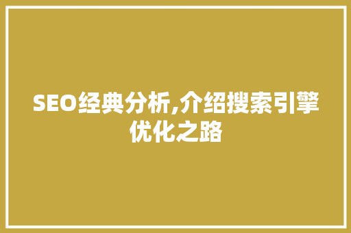 SEO经典分析,介绍搜索引擎优化之路