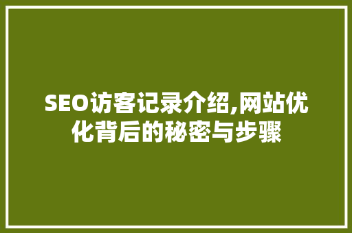 SEO访客记录介绍,网站优化背后的秘密与步骤
