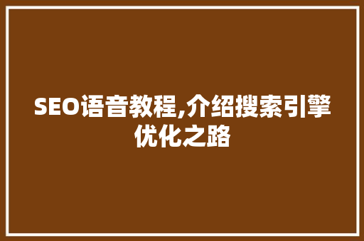 SEO语音教程,介绍搜索引擎优化之路 360搜优化