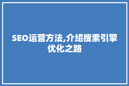 SEO运营方法,介绍搜索引擎优化之路 网站优化