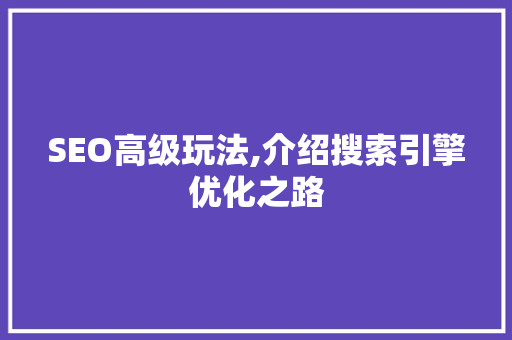 SEO高级玩法,介绍搜索引擎优化之路 seo技术