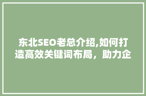 东北SEO老总介绍,如何打造高效关键词布局，助力企业互联网营销