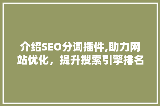 介绍SEO分词插件,助力网站优化，提升搜索引擎排名
