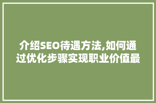 介绍SEO待遇方法,如何通过优化步骤实现职业价值最大化