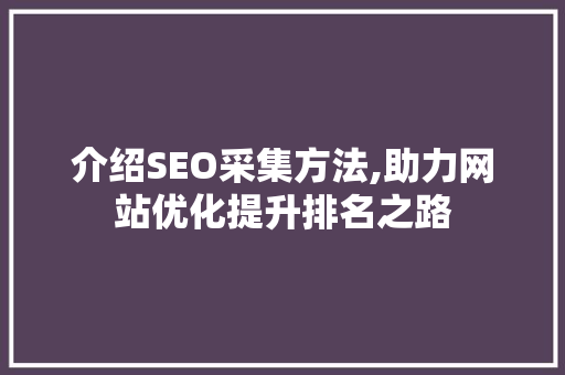 介绍SEO采集方法,助力网站优化提升排名之路