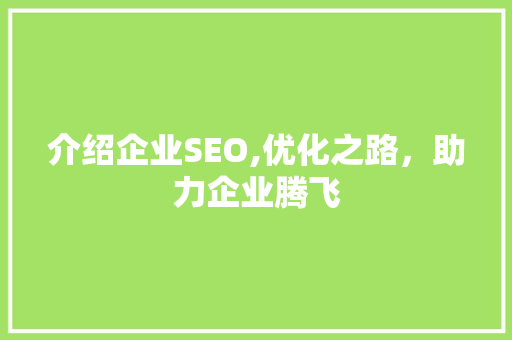 介绍企业SEO,优化之路，助力企业腾飞