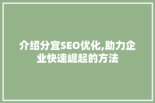 介绍分宜SEO优化,助力企业快速崛起的方法