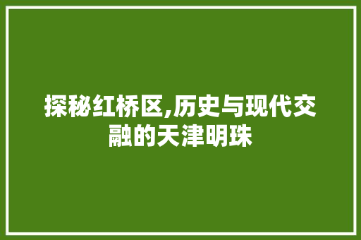 探秘红桥区,历史与现代交融的天津明珠