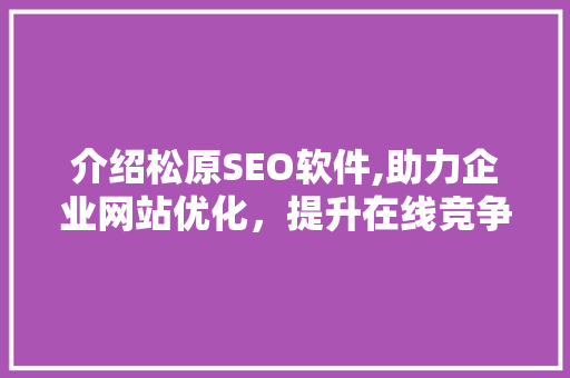 介绍松原SEO软件,助力企业网站优化，提升在线竞争力