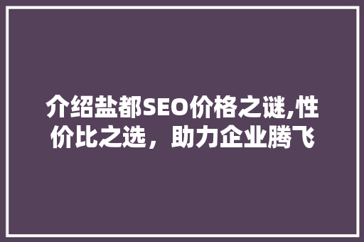 介绍盐都SEO价格之谜,性价比之选，助力企业腾飞