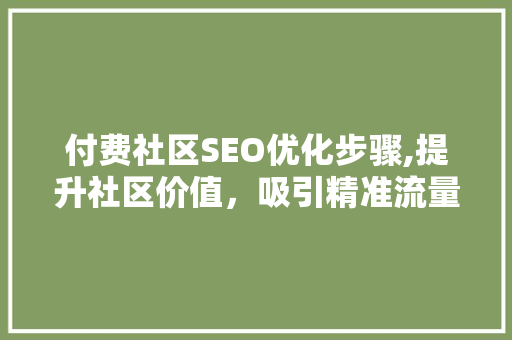付费社区SEO优化步骤,提升社区价值，吸引精准流量