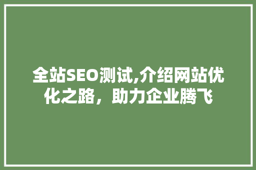 全站SEO测试,介绍网站优化之路，助力企业腾飞