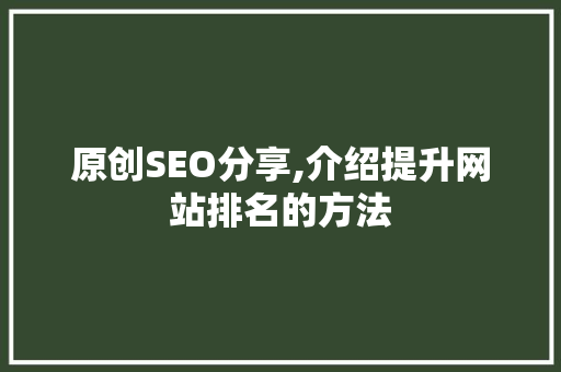 原创SEO分享,介绍提升网站排名的方法