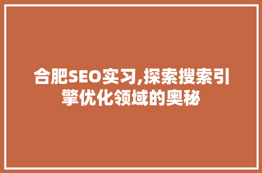 合肥SEO实习,探索搜索引擎优化领域的奥秘