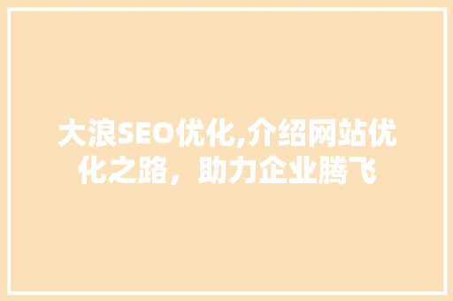 大浪SEO优化,介绍网站优化之路，助力企业腾飞 seo技术