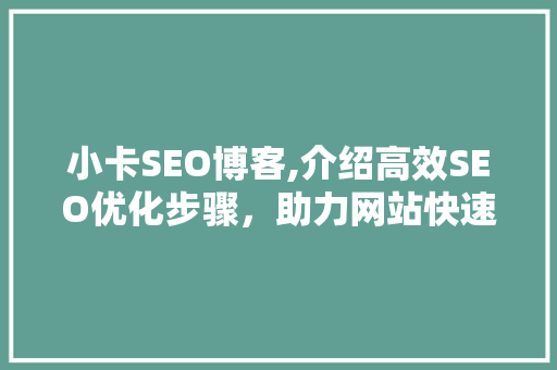 小卡SEO博客,介绍高效SEO优化步骤，助力网站快速崛起