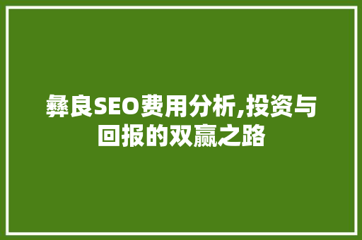 彝良SEO费用分析,投资与回报的双赢之路 seo技术