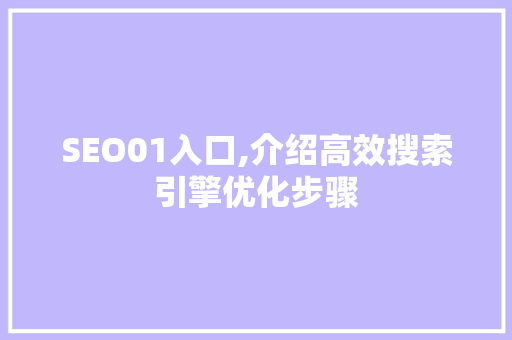 SEO01入口,介绍高效搜索引擎优化步骤