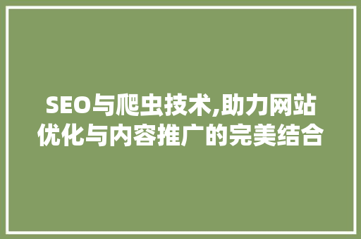 SEO与爬虫技术,助力网站优化与内容推广的完美结合
