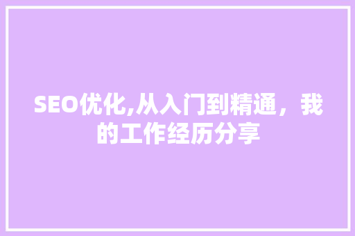 SEO优化,从入门到精通，我的工作经历分享