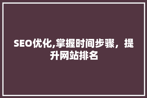 SEO优化,掌握时间步骤，提升网站排名