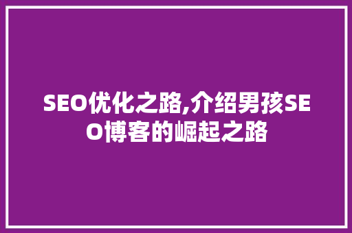SEO优化之路,介绍男孩SEO博客的崛起之路