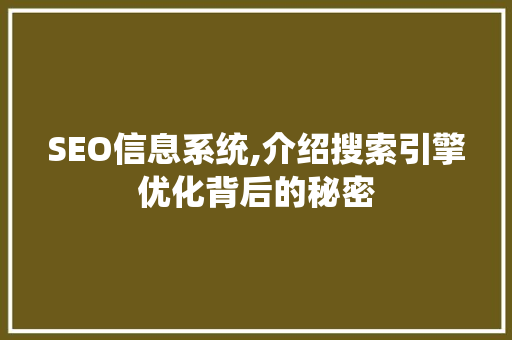 SEO信息系统,介绍搜索引擎优化背后的秘密