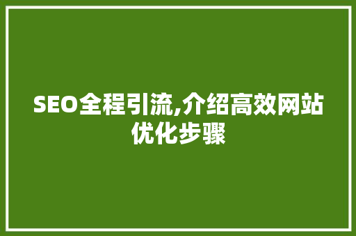 SEO全程引流,介绍高效网站优化步骤 英文谷歌算法
