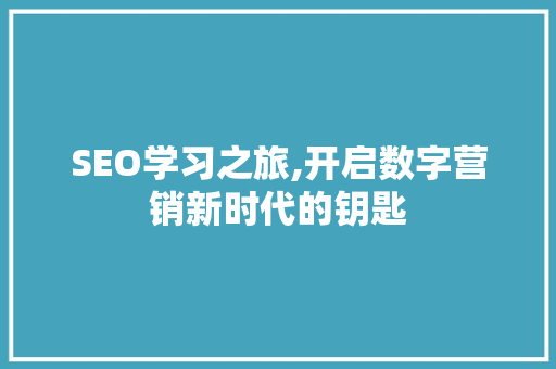 SEO学习之旅,开启数字营销新时代的钥匙