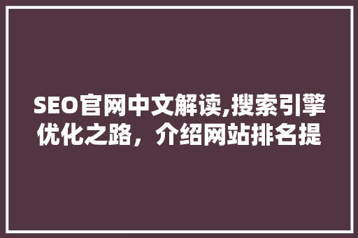 SEO官网中文解读,搜索引擎优化之路，介绍网站排名提升方法