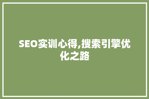 SEO实训心得,搜索引擎优化之路